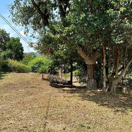 Maison Provencale Avec Piscine Et Clim *
